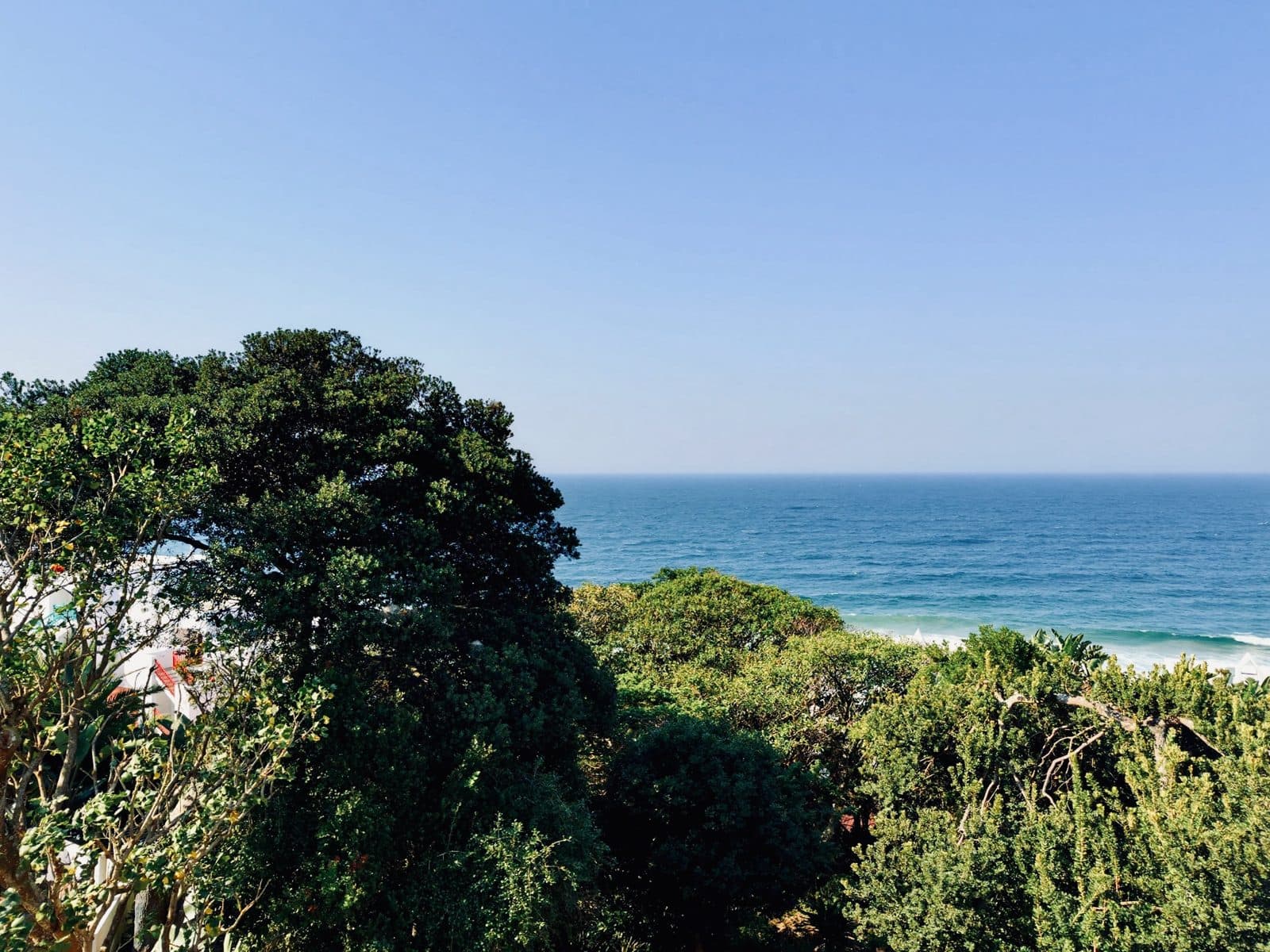 The Dolphin Coast from the apartment